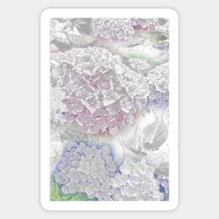 hydrangea Sticker